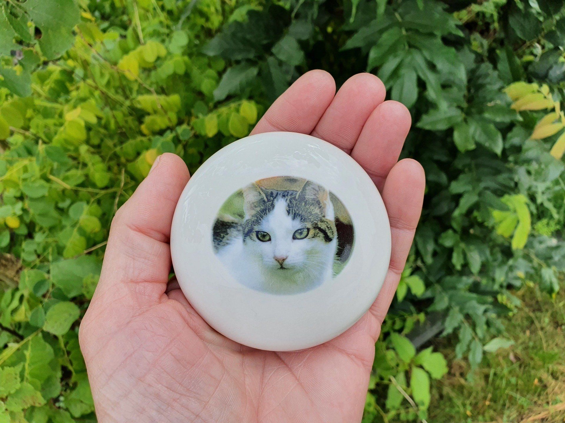 Urn for your pet (urn bowl)