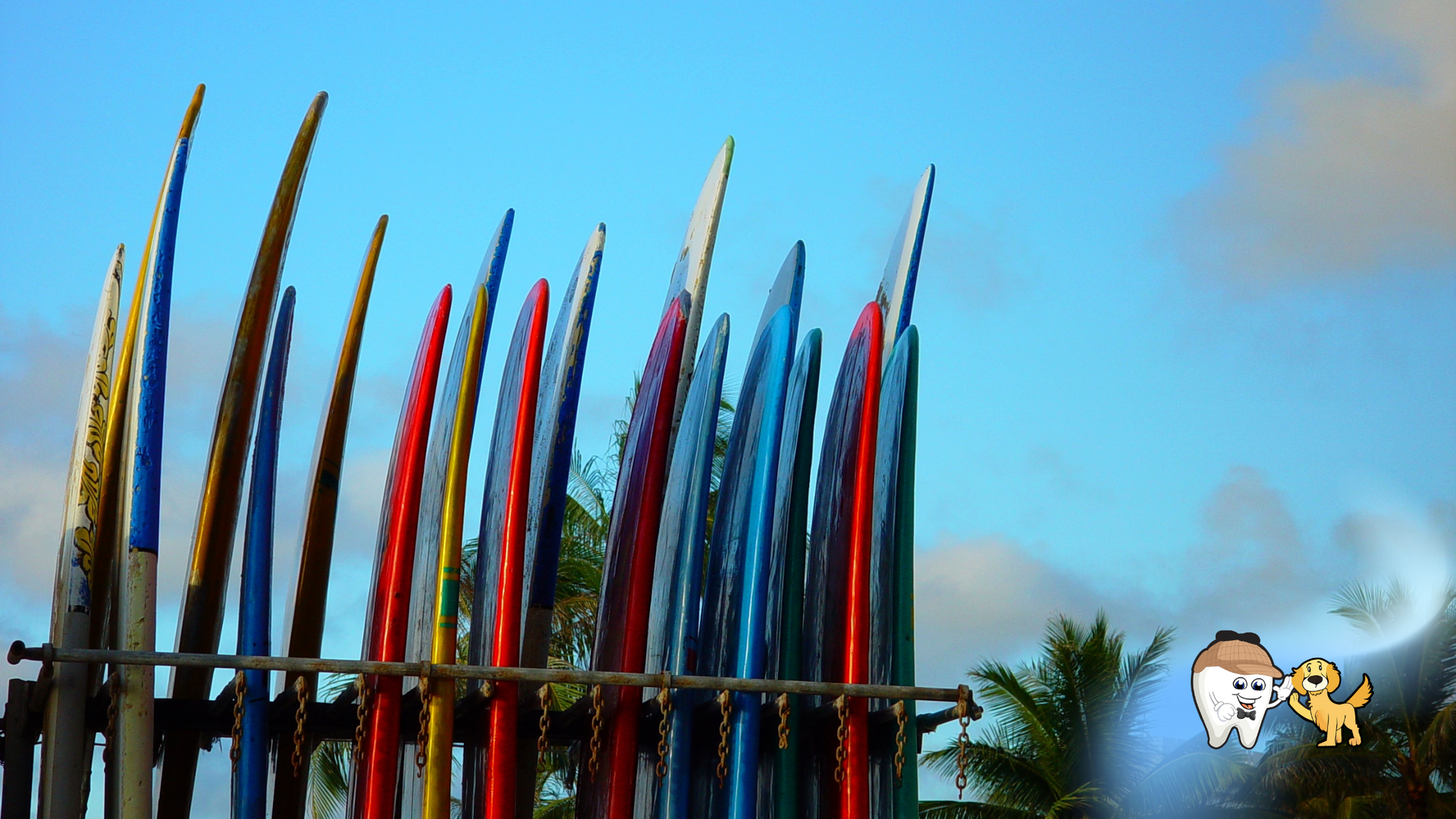 Colorful surfboards standing upright on a fence under a blue sky, with a small cartoon tooth mascot at right