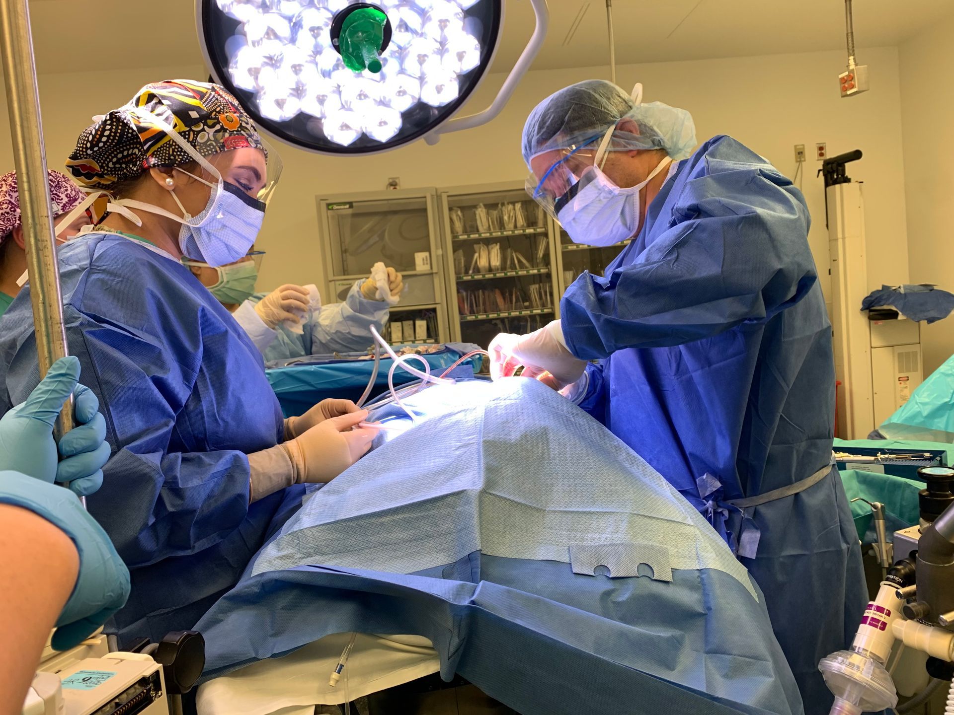 Dr. John Ding Working On A Patient | Pediatric Dental Procedures | Dental Care For Kids | Dentist In Operatory | Cavity Detective | Best Pediatric Dentist In Tinton Falls, NJ