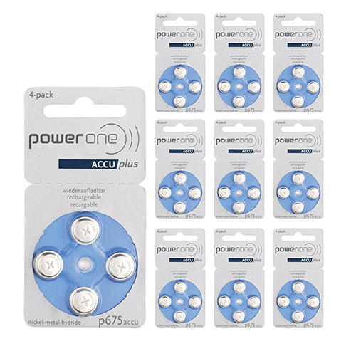 Power One Batteries 10 Pack