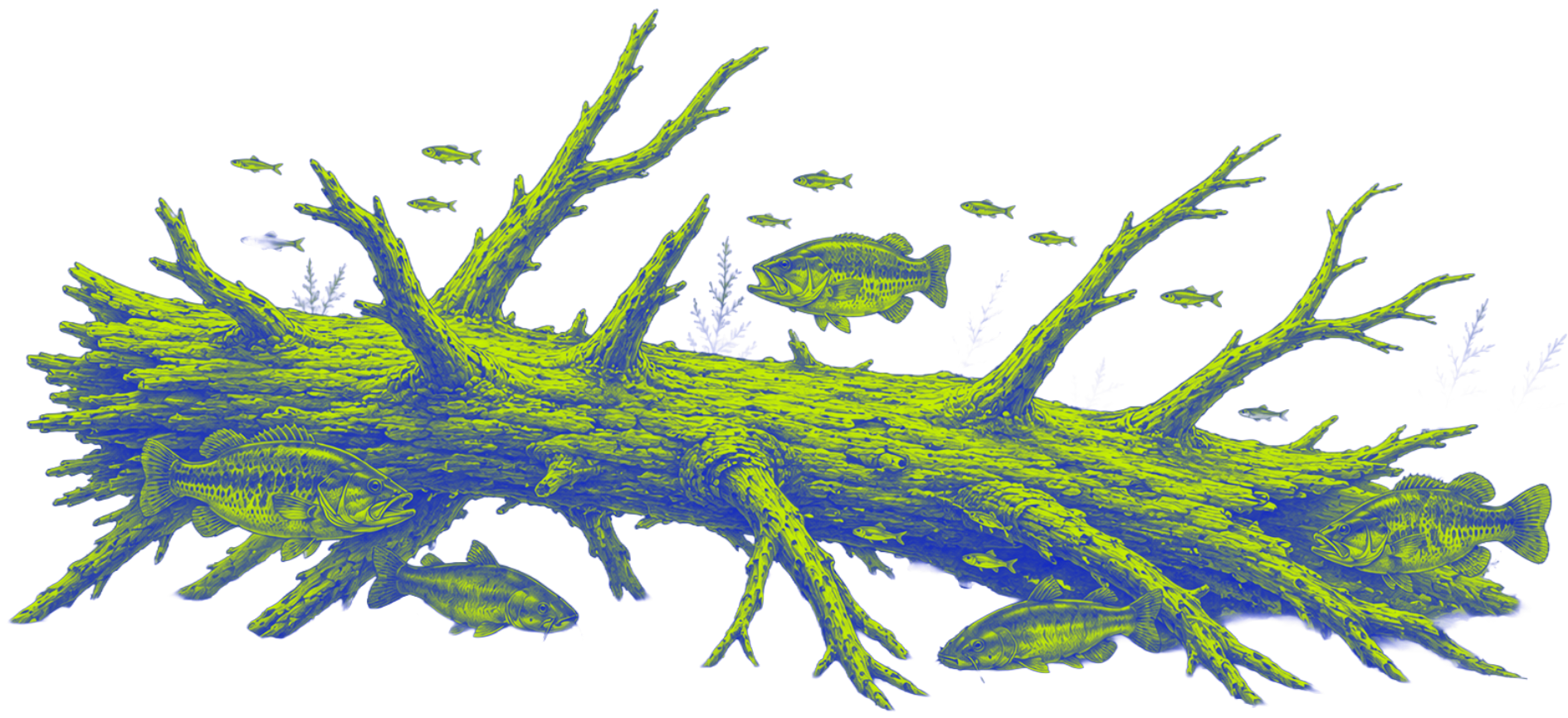 Green and blue lichen-covered branch with small offshoots on a white background