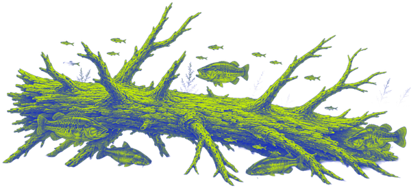 Green and blue lichen-covered branch with small offshoots on a white background