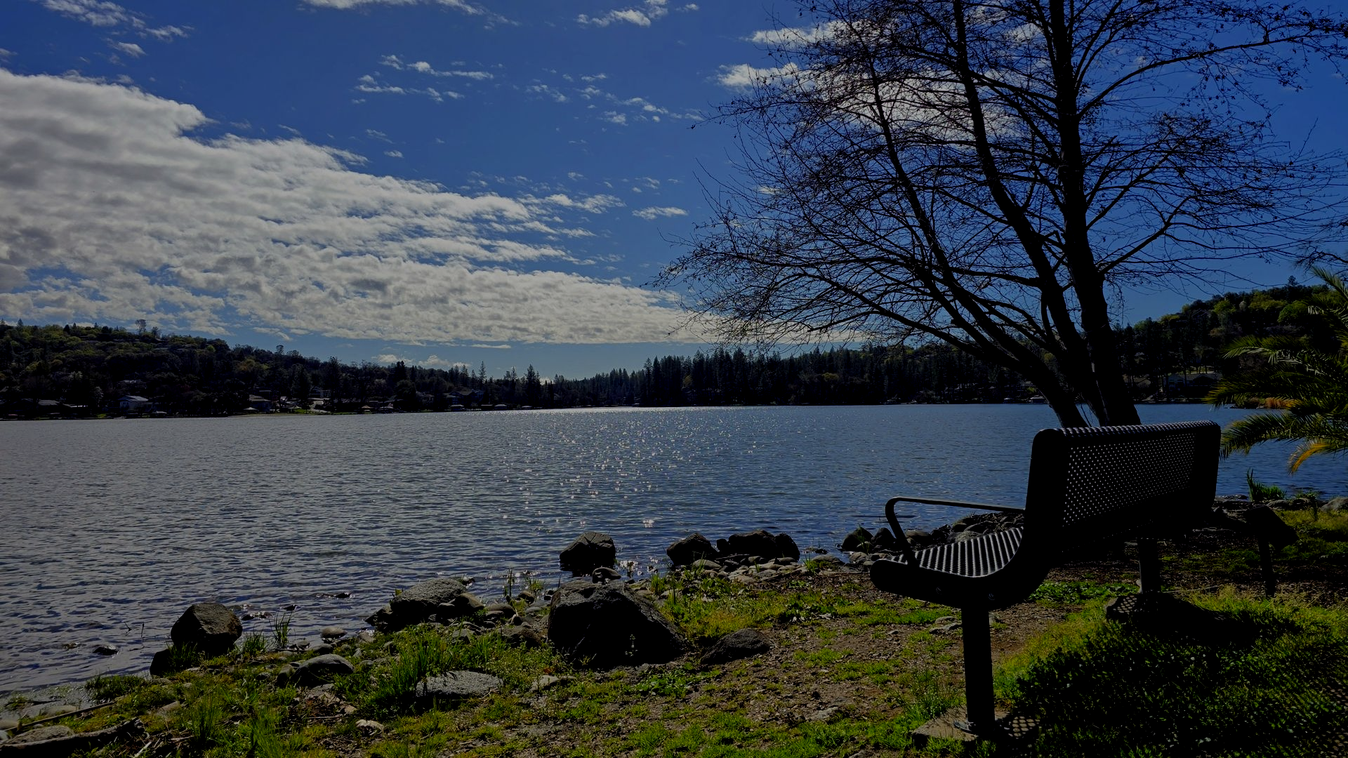 photo of lake wildwood ca