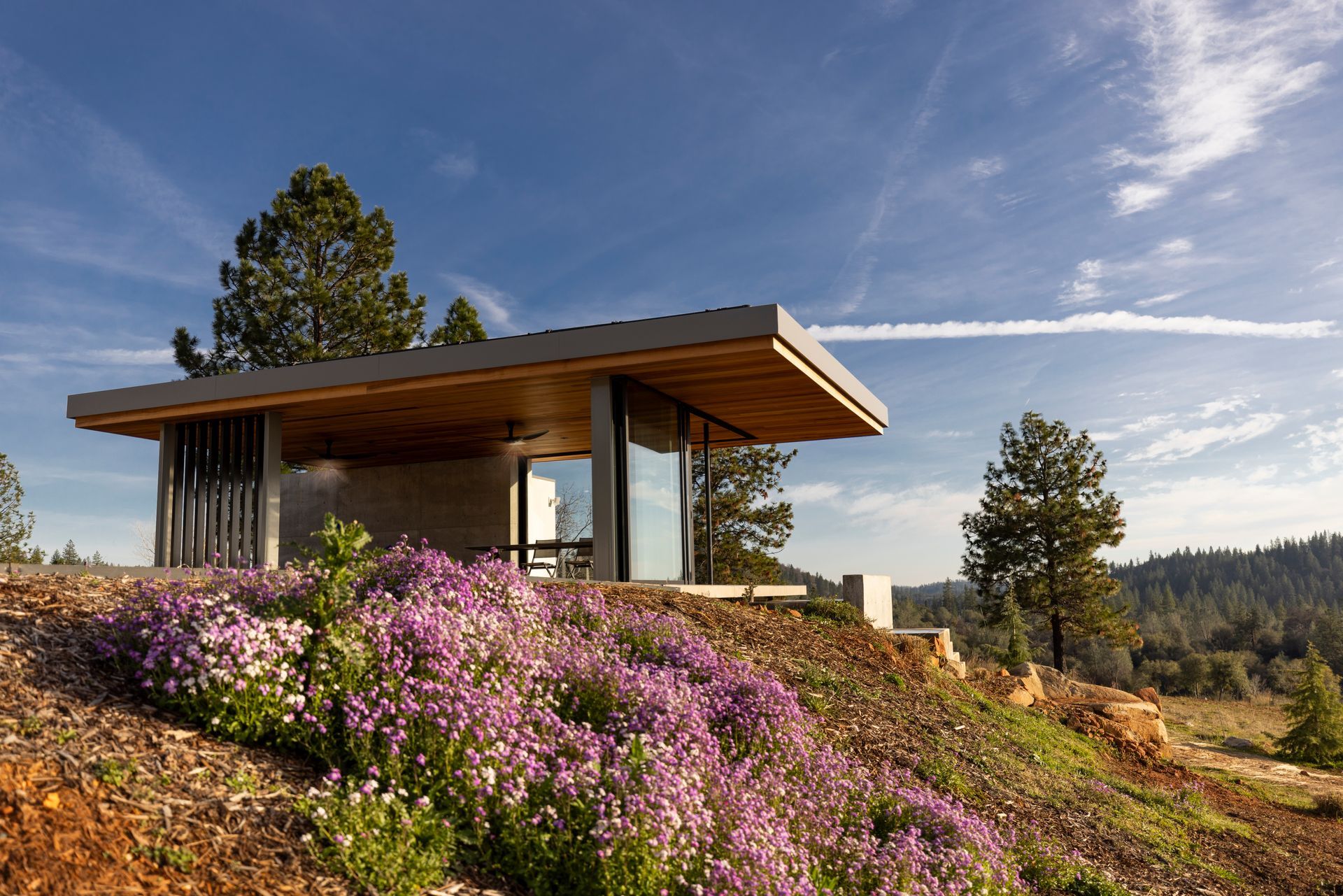 Modern custom home exterior with a low-slope roof and drought-tolerant landscaping