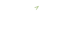 Pine Property Management