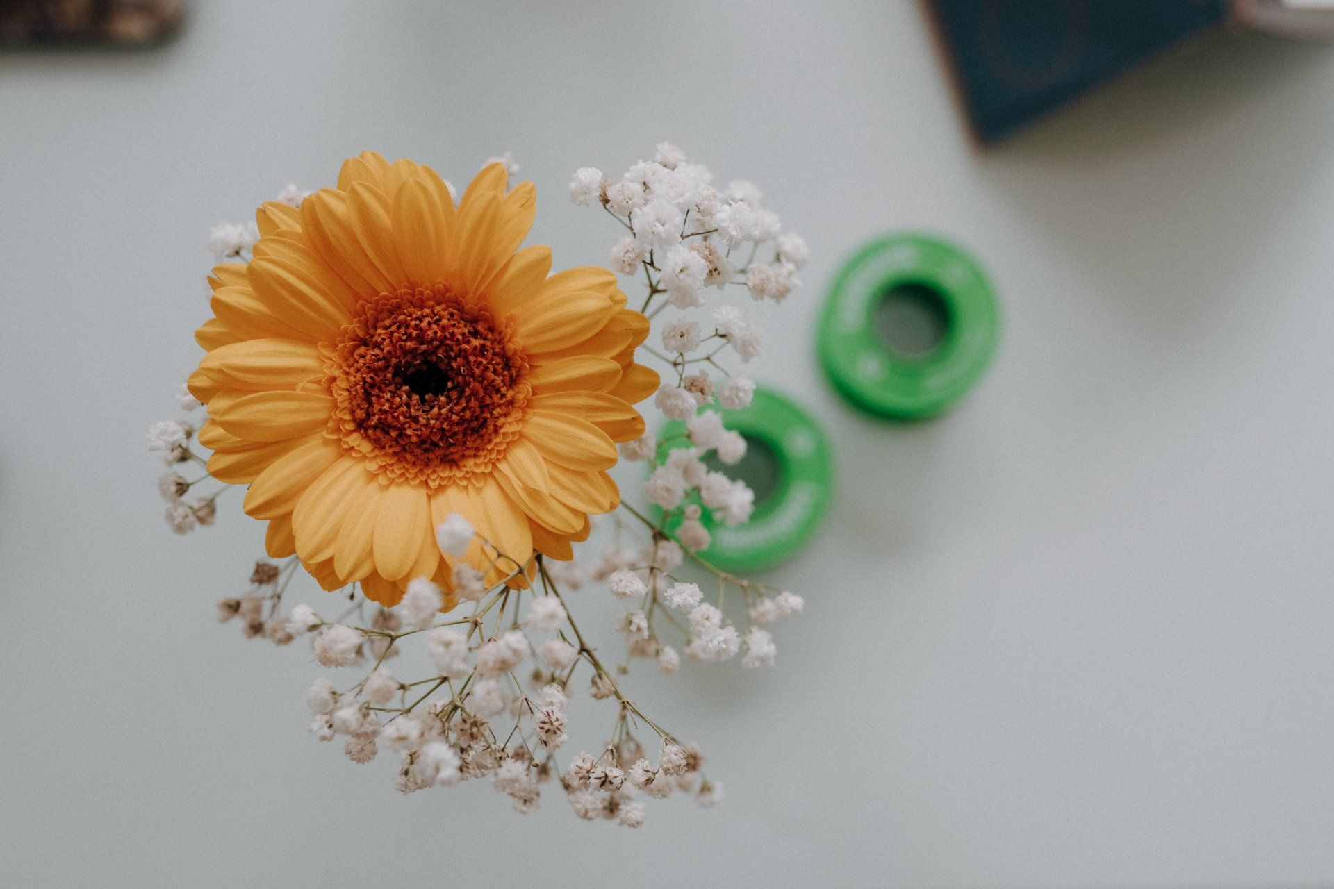 Eine Nahaufnahme einer gelben Blume und Schleierkraut auf einem Tisch.
