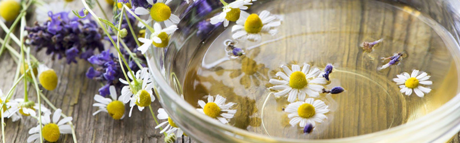 Eine Schüssel mit Wasser und Gänseblümchen und Lavendelblüten darin.