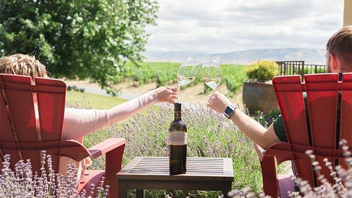 Sauvignon Blanc Summer