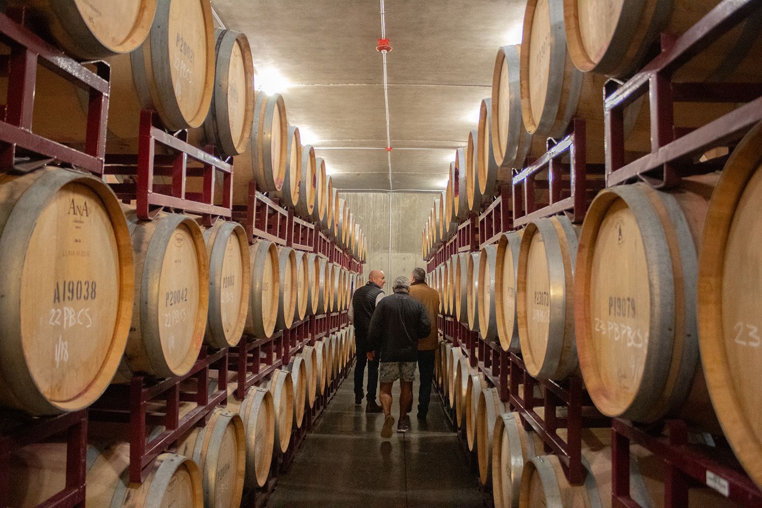 Winery Tour