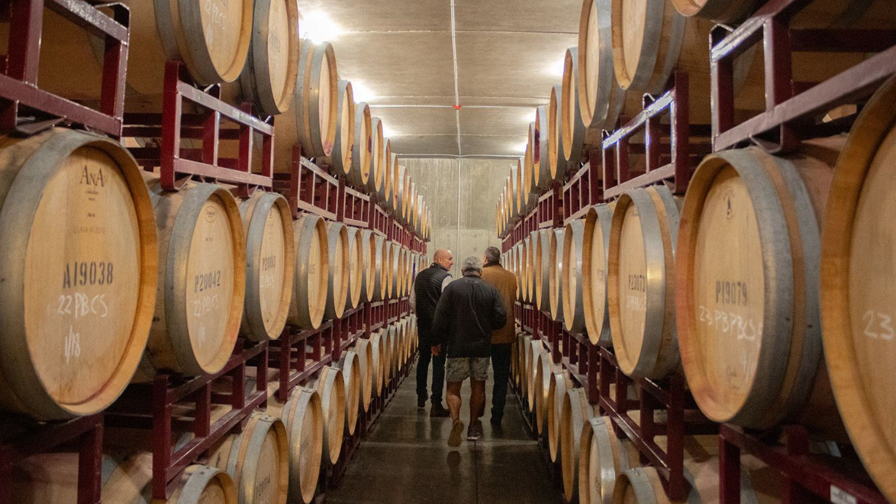 Wine Tasting in Walla Walla, WA