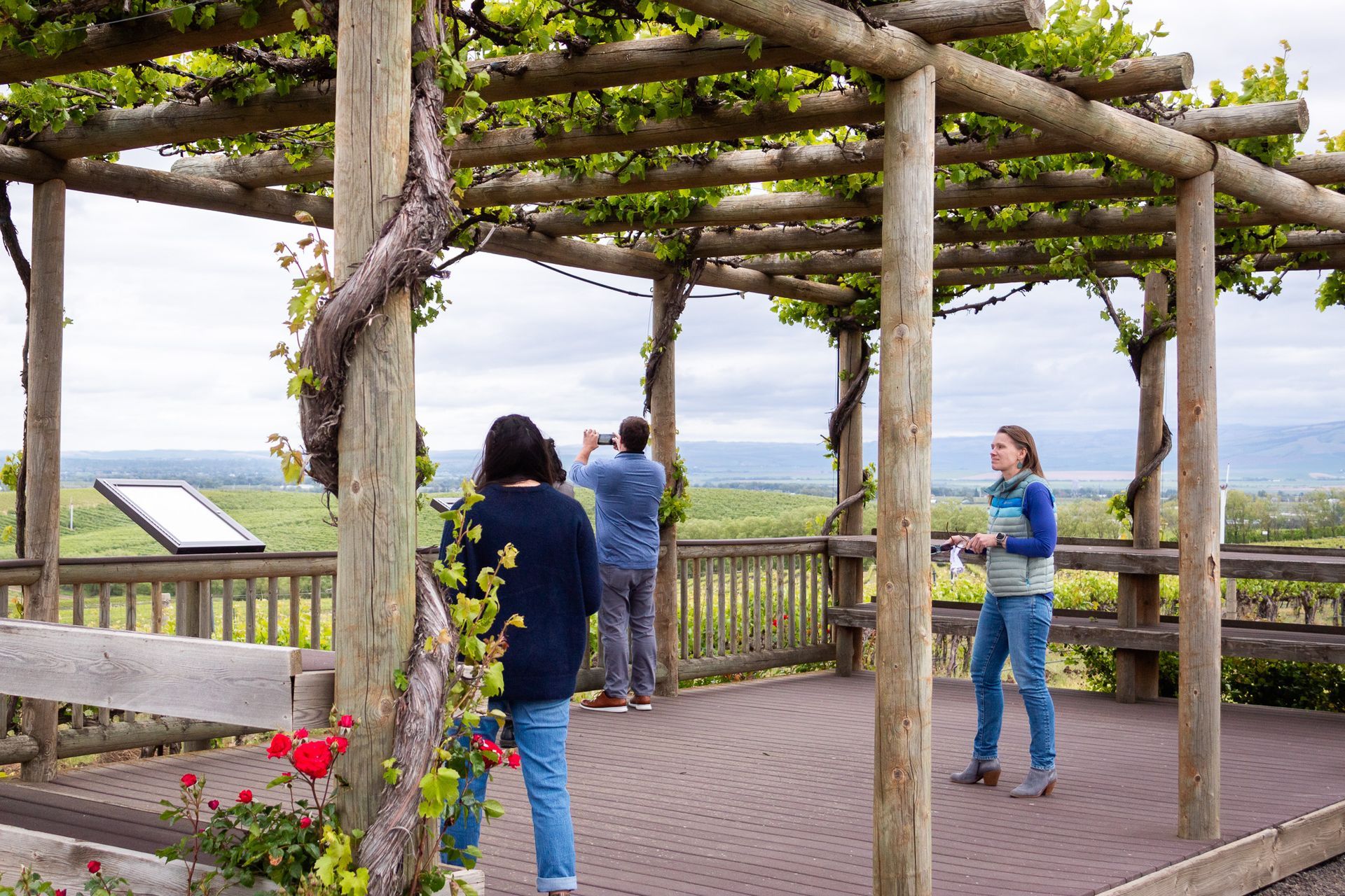Vineyard Education