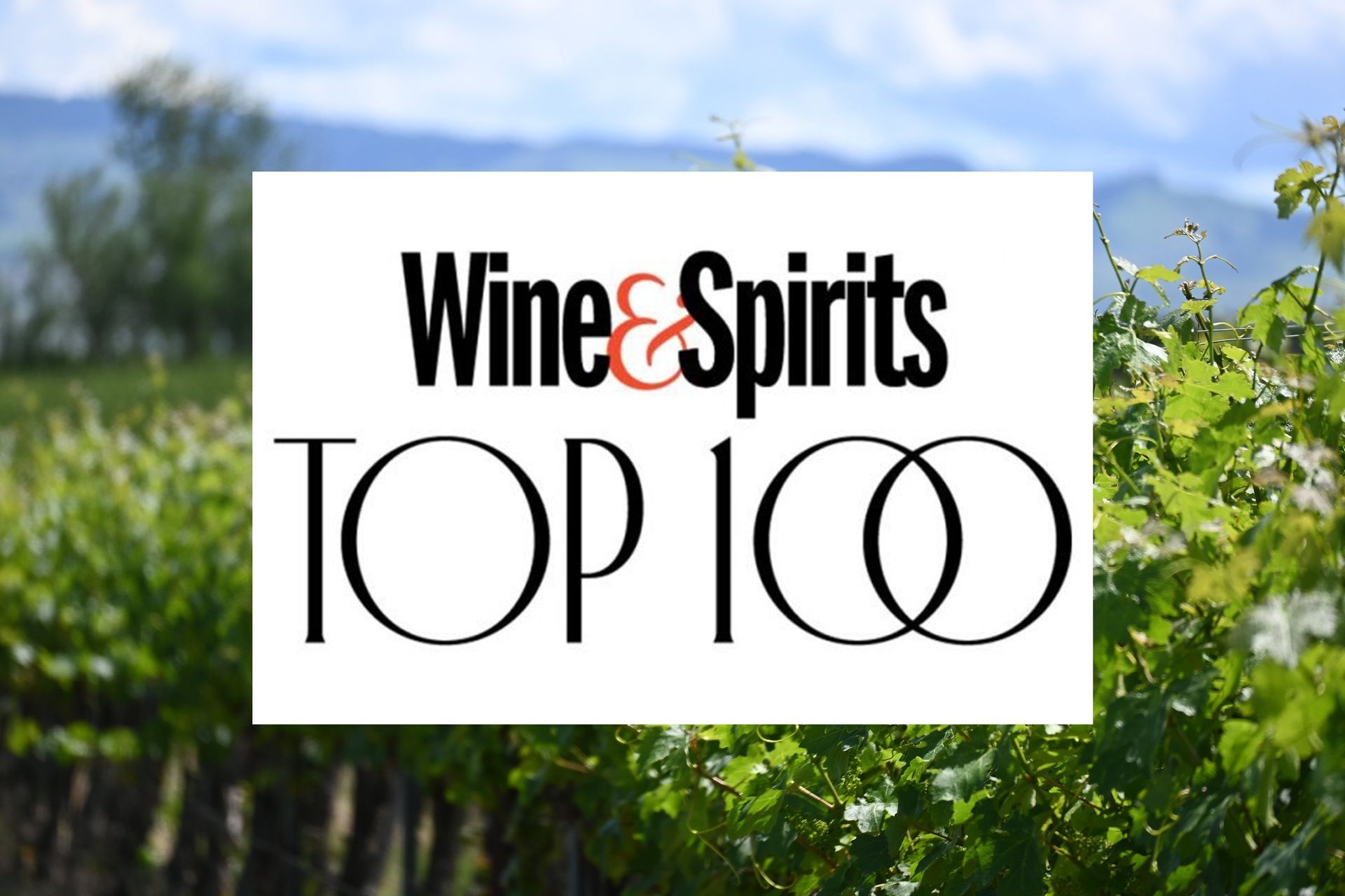 Top 100 Winery