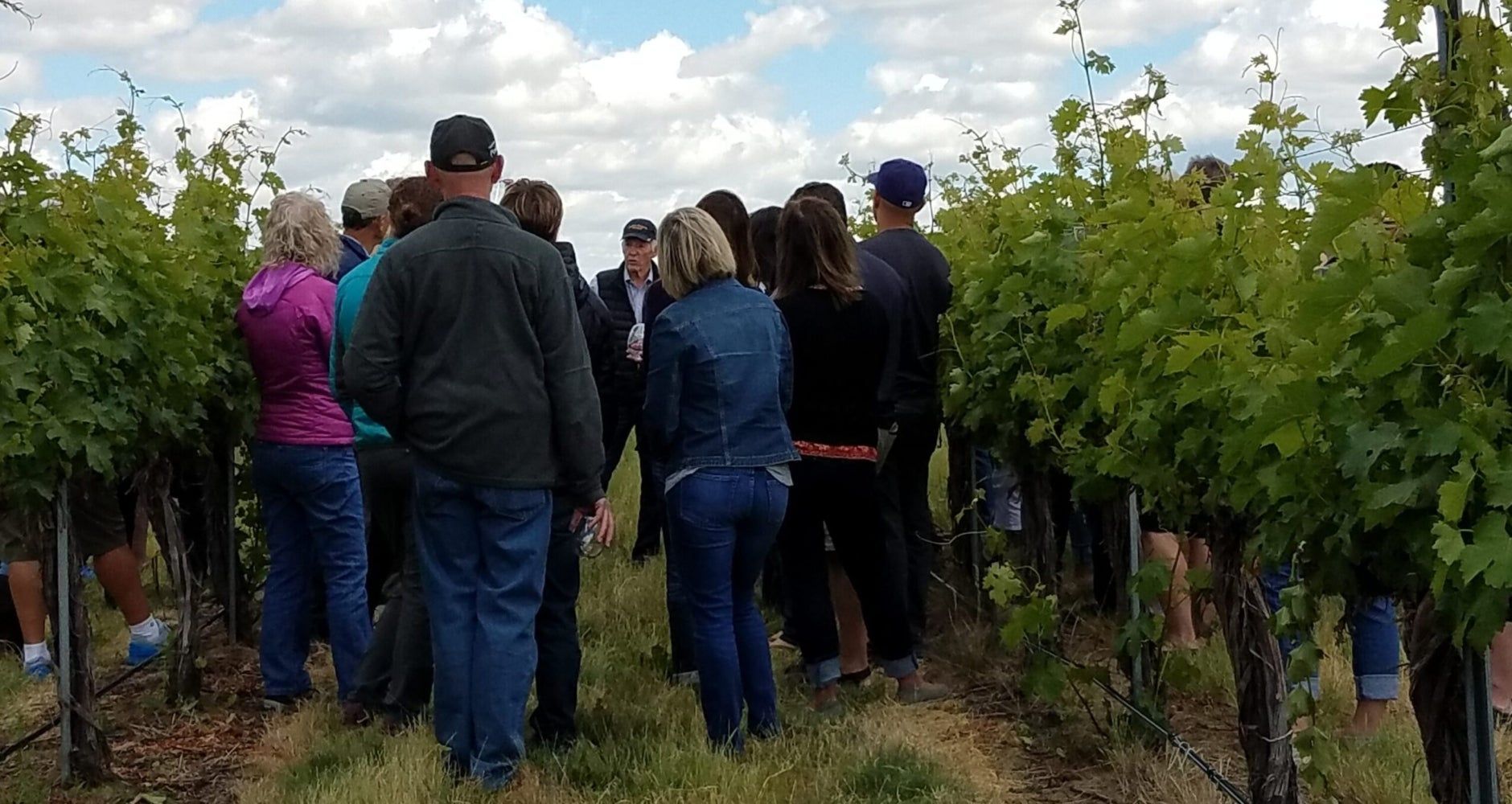 Vineyard Education with Norm