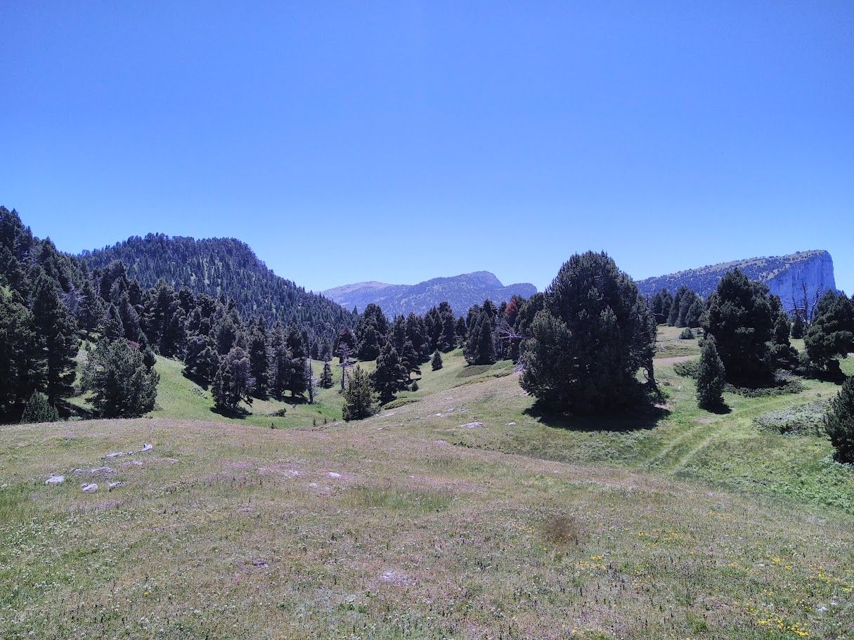 Plateaux du Vercors 