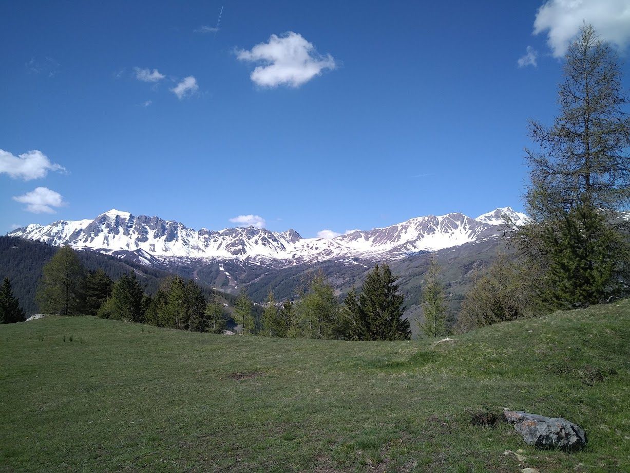 Vars