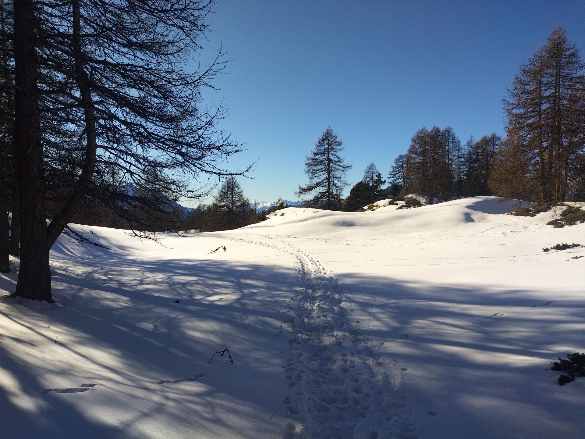 Vallons enneigées dans le Queyras