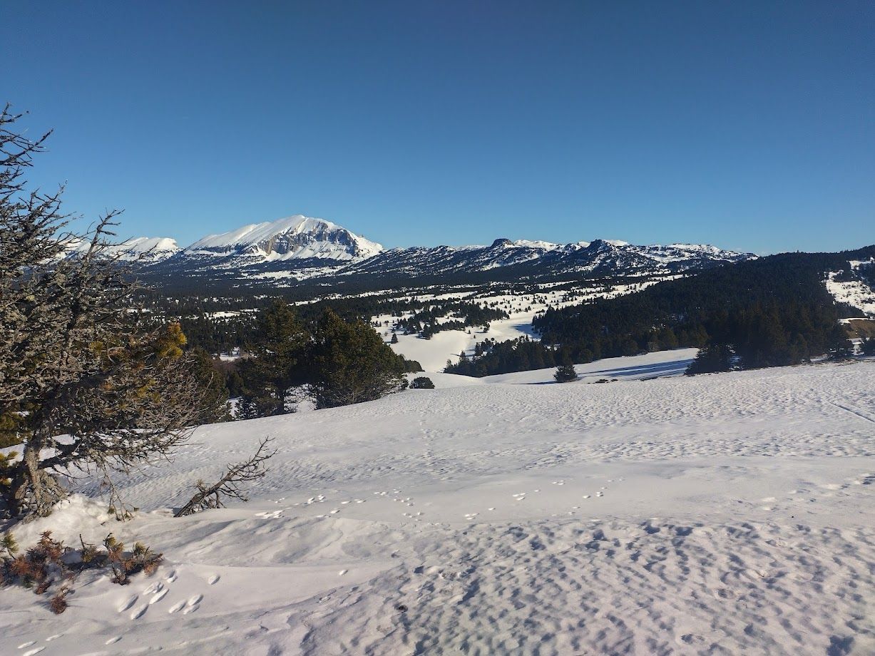 Les Hauts plateaux du Vercors en raquettes
