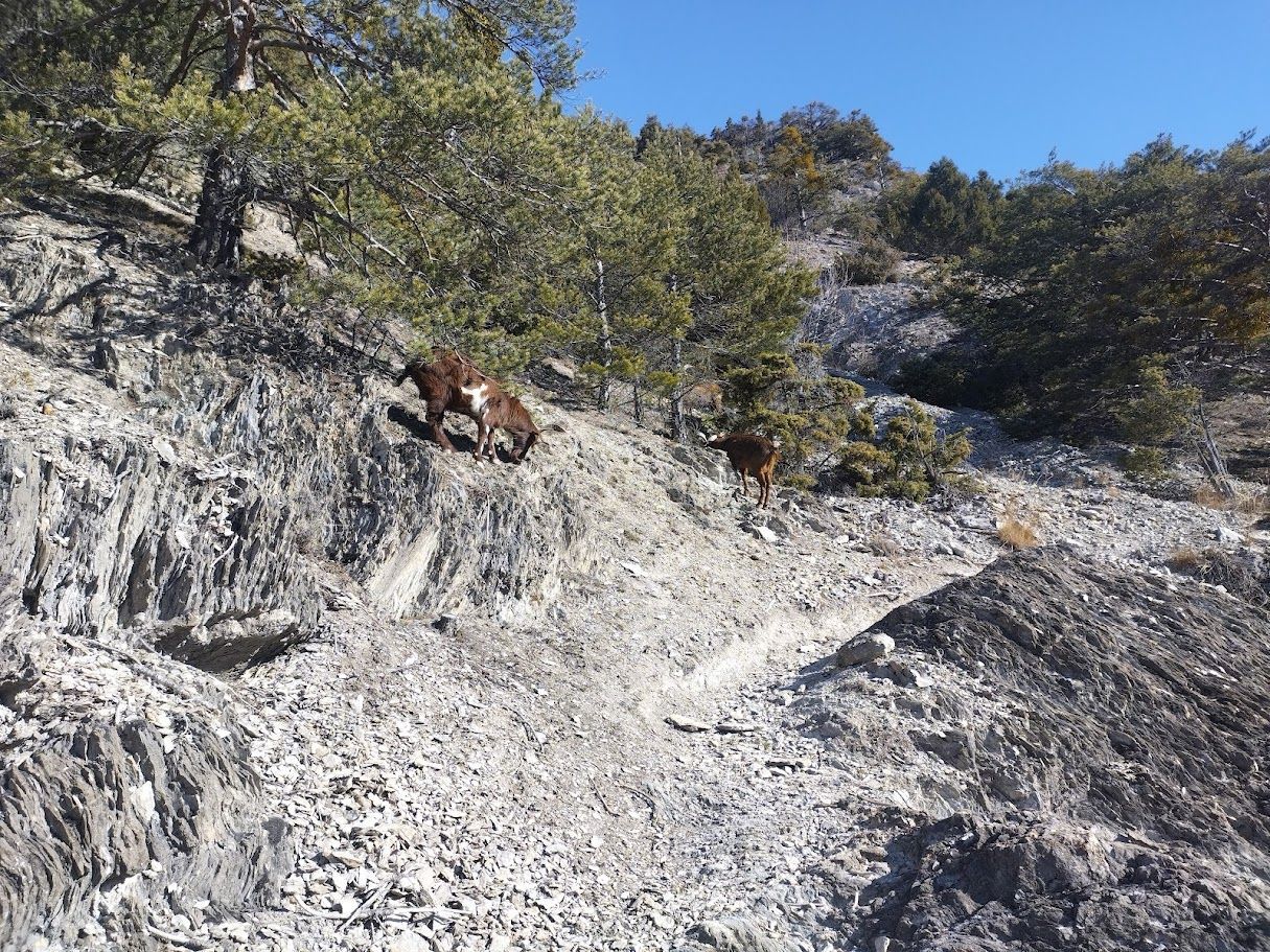 Randonnée au Gros d'Eygliers