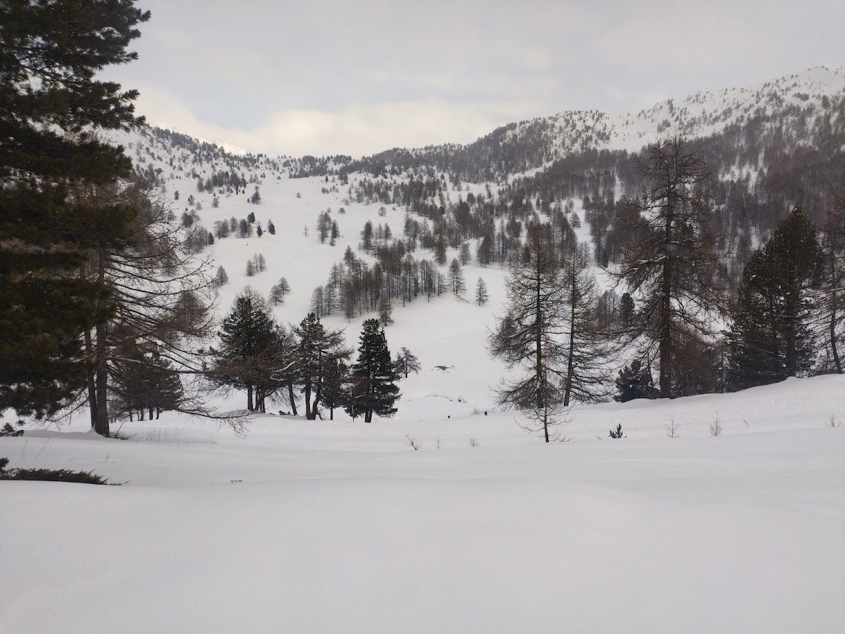Randonnée raquettes au refuge Mautino