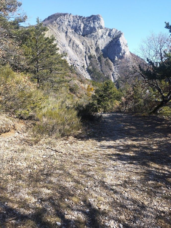 Randonnée du 17 Mars au Col de l'Armande , Savournon