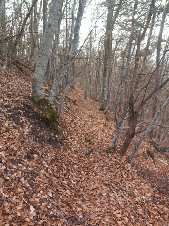 Randonnée à Furmeyer