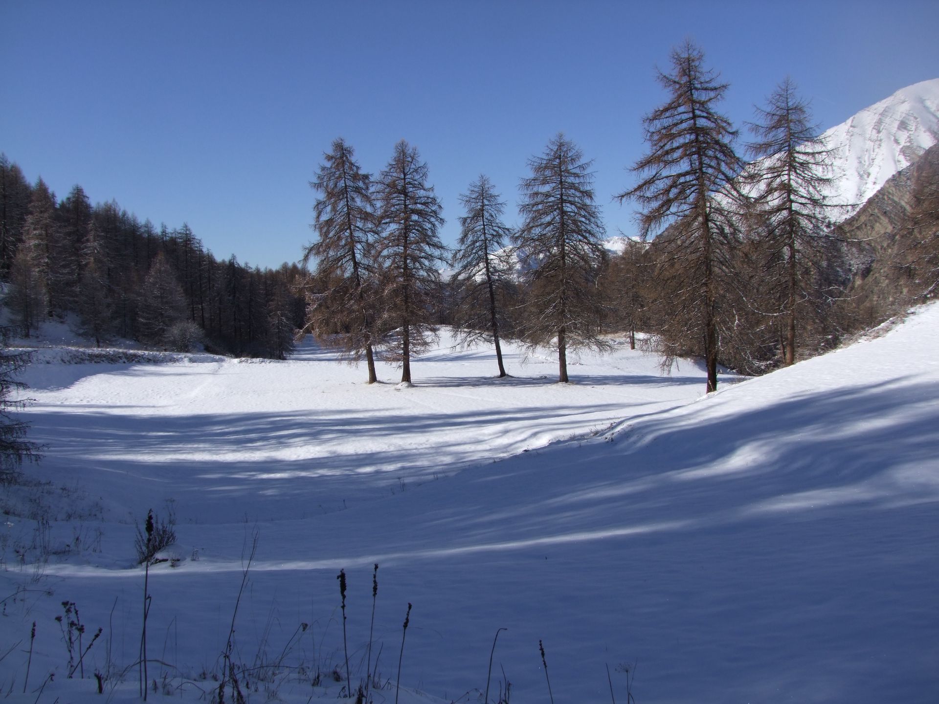 Paysage enneigé à Crévoux