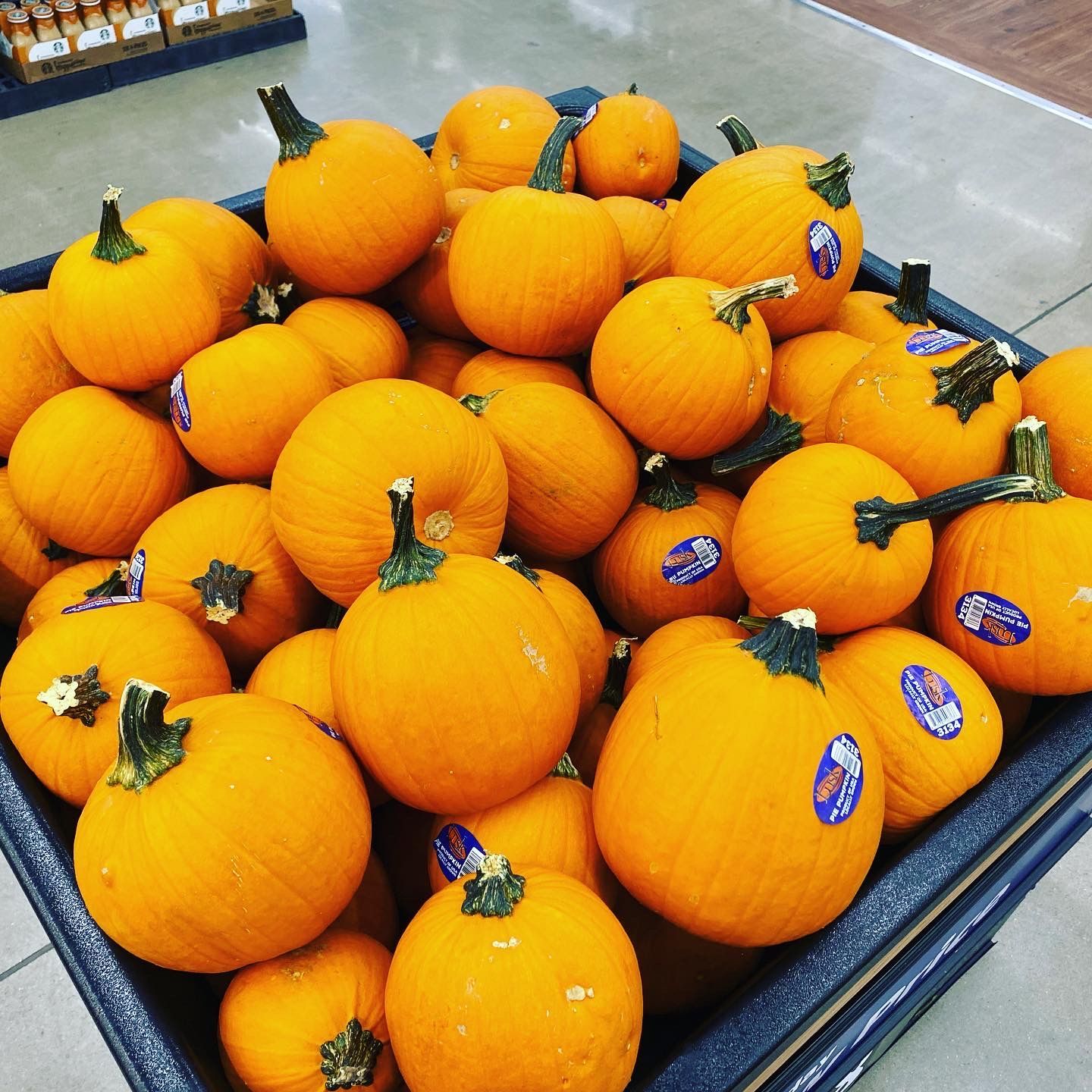A bin overflowing with many small, orange pumpkins for sale.