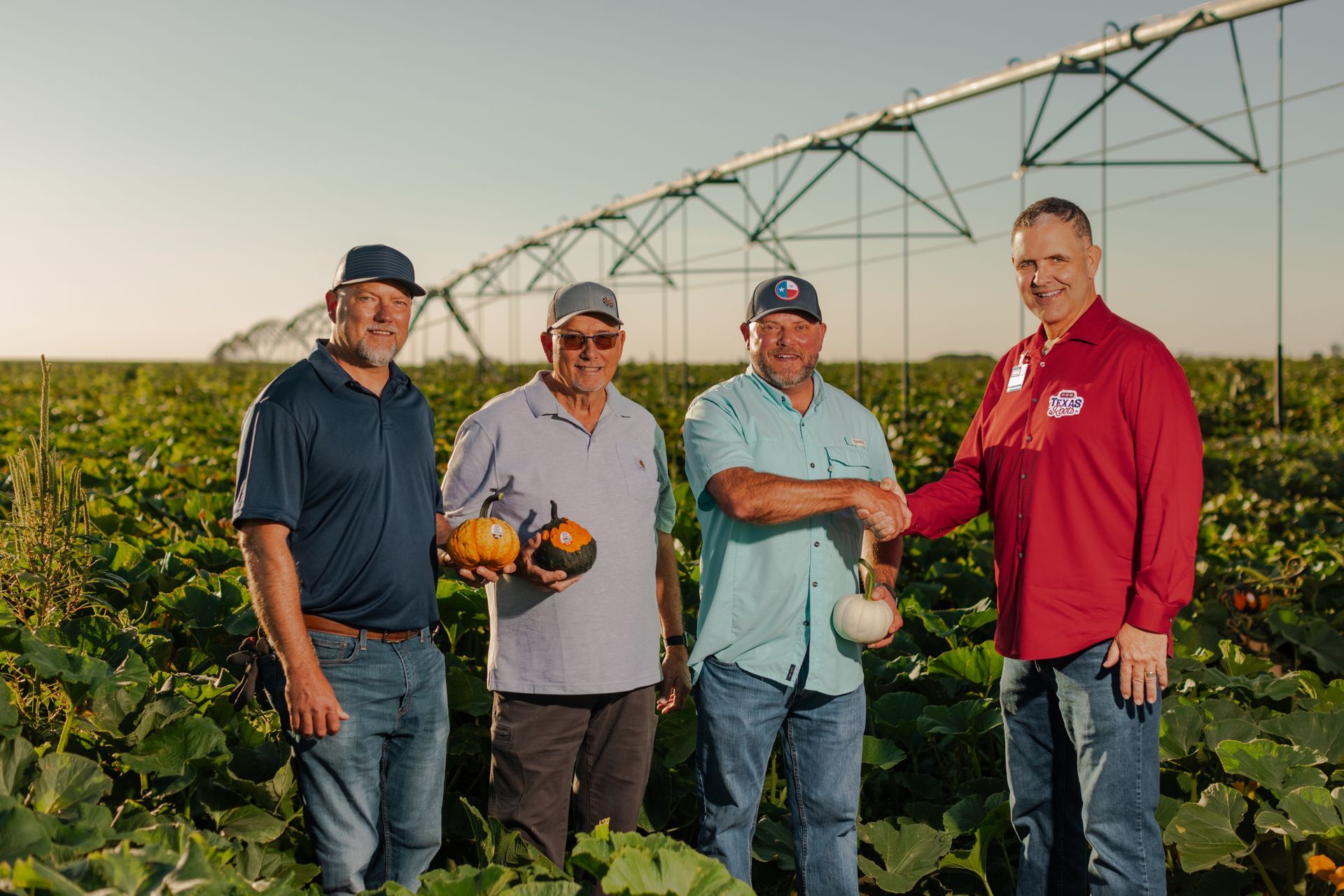 Four men in a pumpkin field, one shaking hands. Irrigation system in background.
