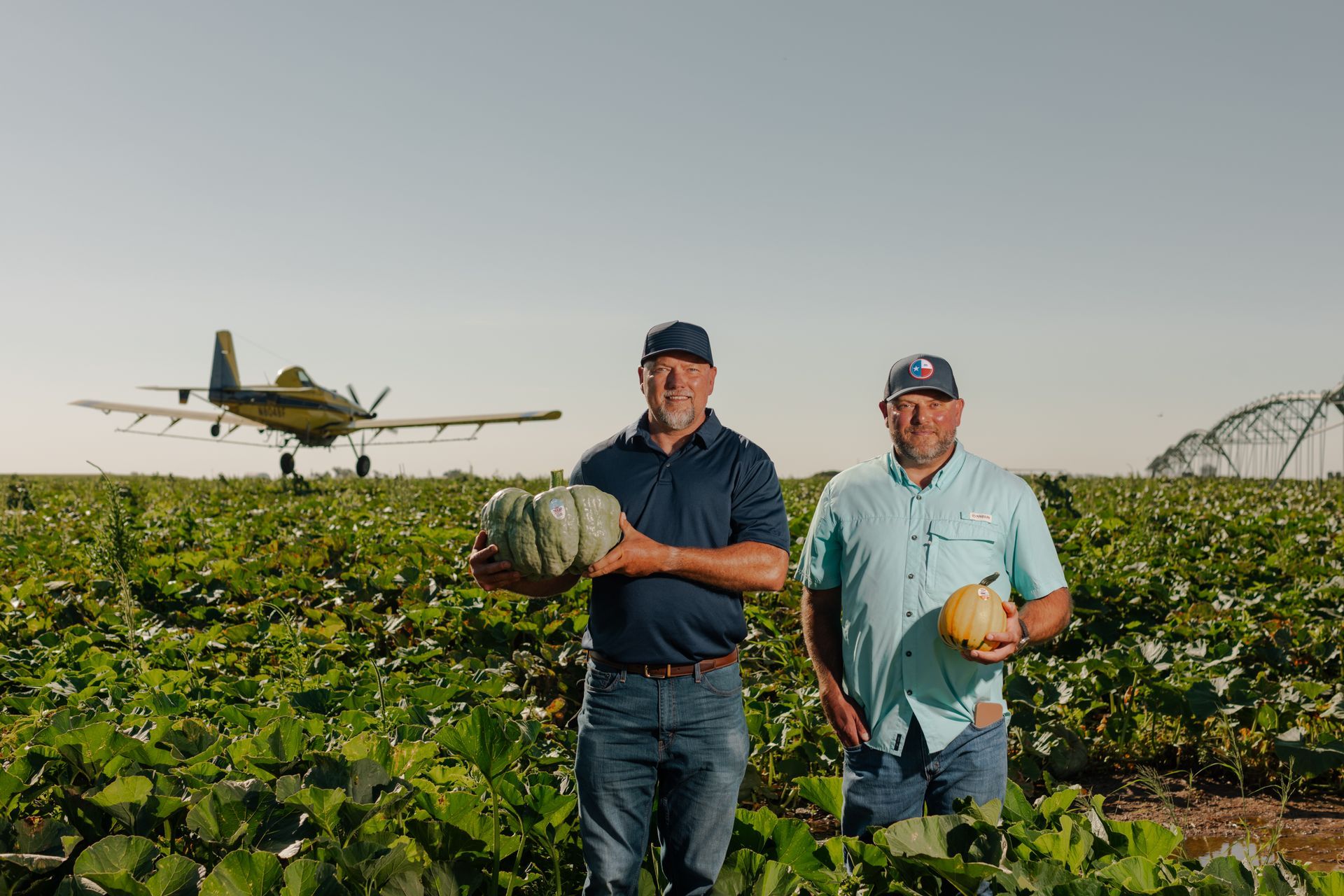 Two men in a pumpkin field, holding pumpkins with an agricultural airplane in the background.