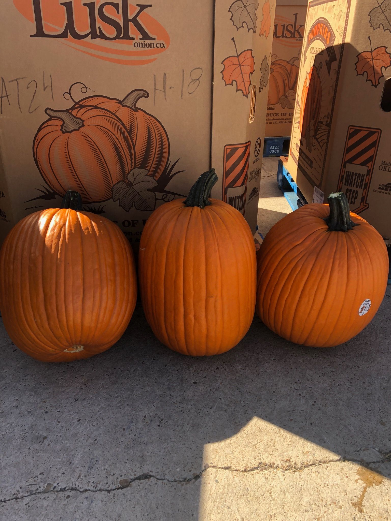 Three orange pumpkins in front of boxes with pumpkin illustrations.