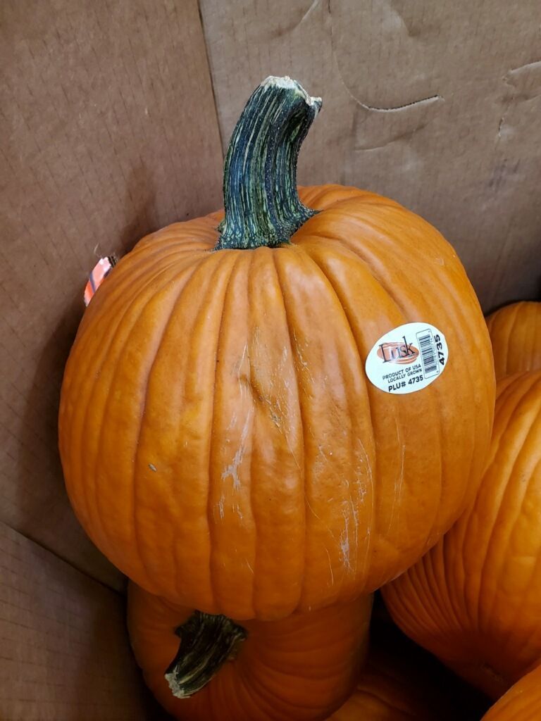 Orange pumpkin with a green stem, in a cardboard box.