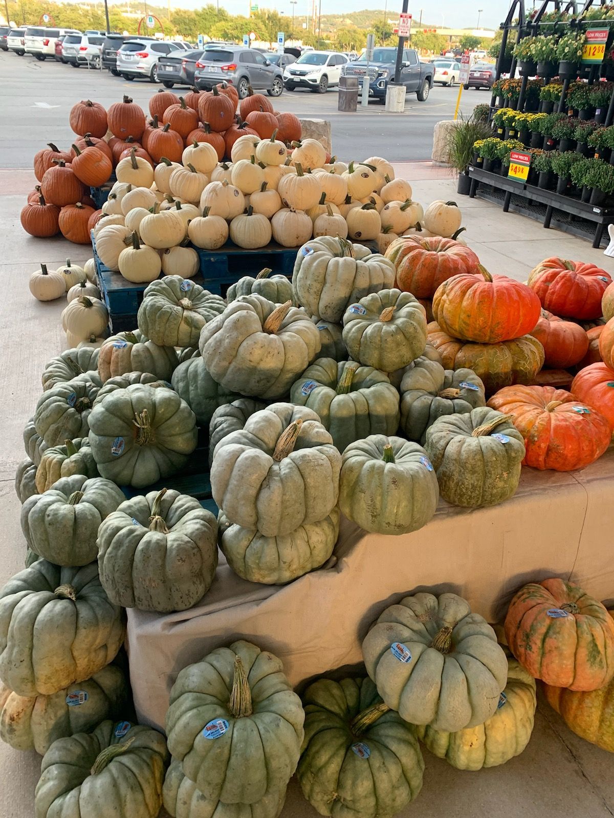 Pumpkins of various colors and sizes for sale outdoors.