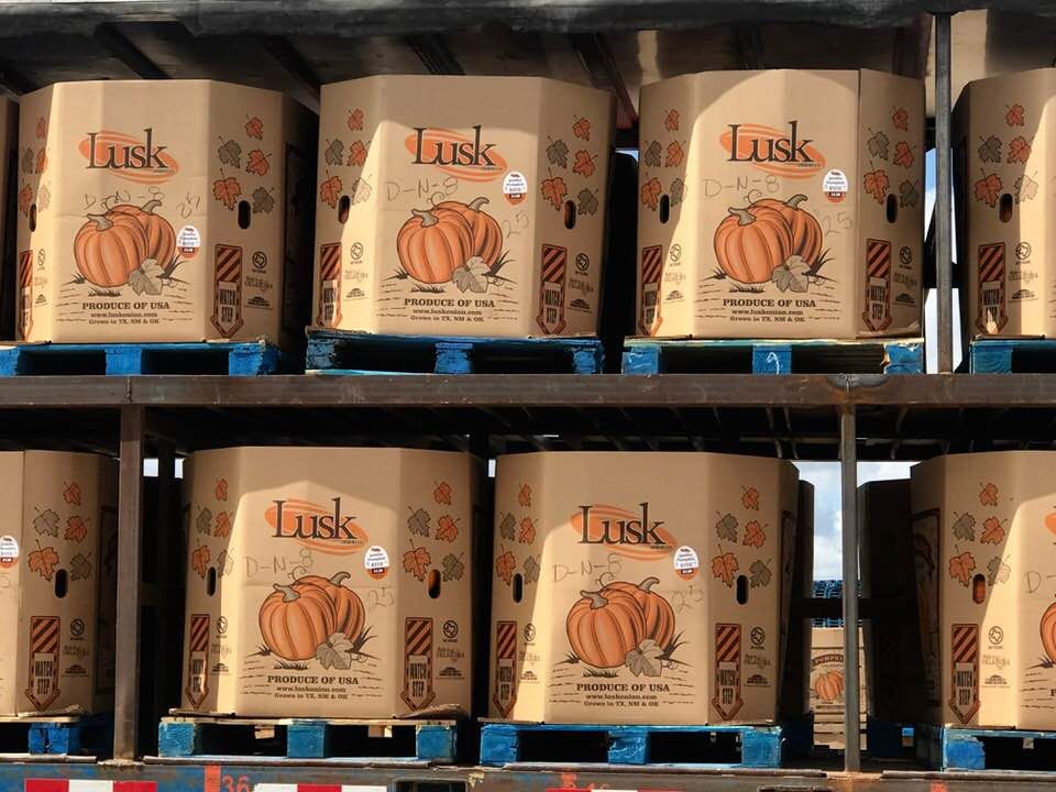 Cardboard boxes of pumpkins stacked on pallets, labeled 