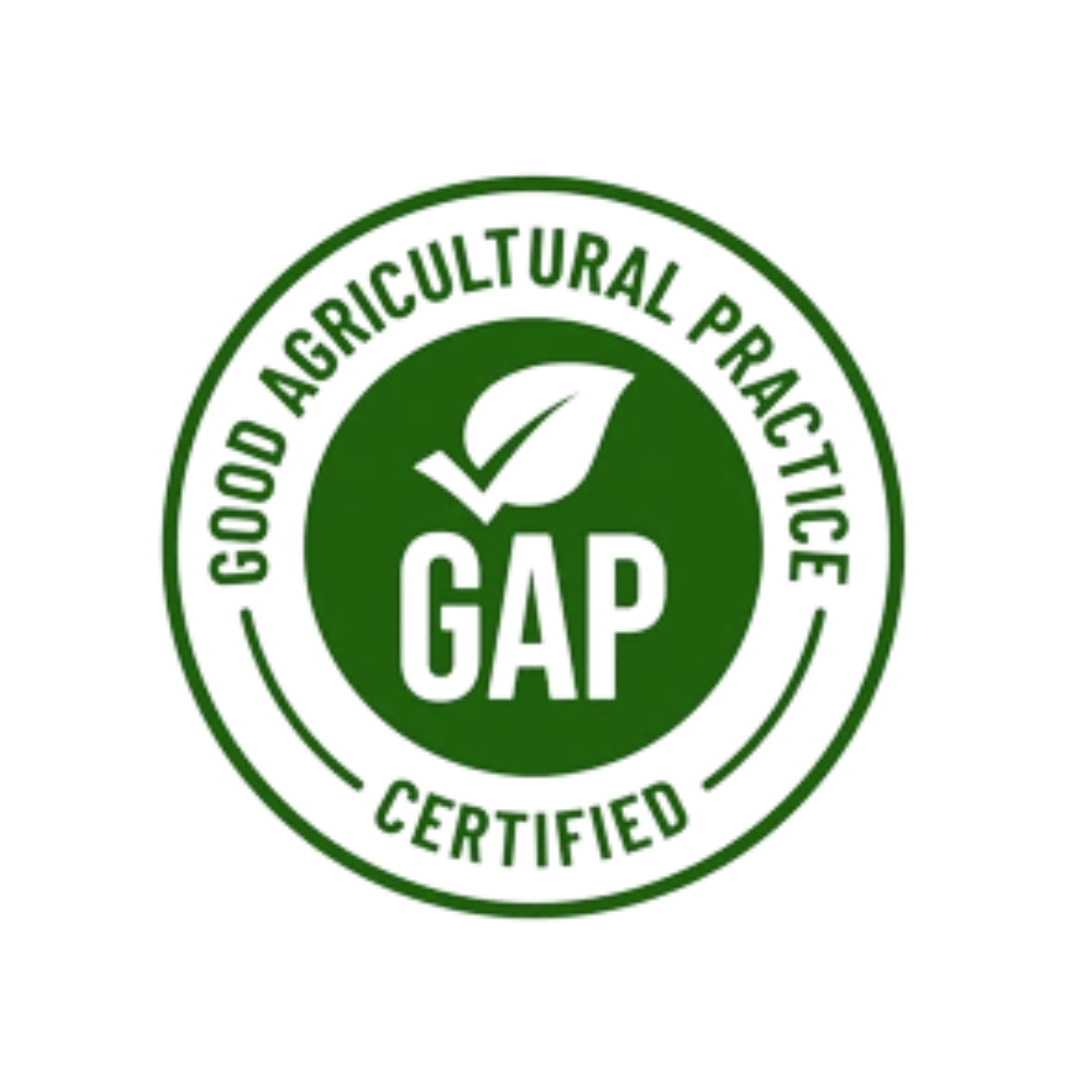 Green GAP Certified logo with leaf, and text