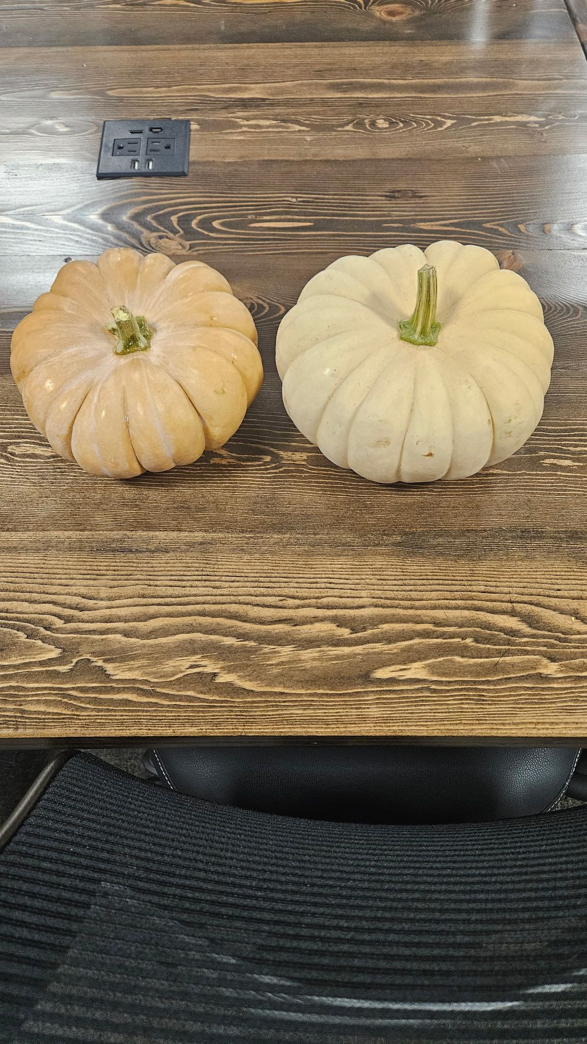 Two small pumpkins, one tan and one white, on a dark wooden table.