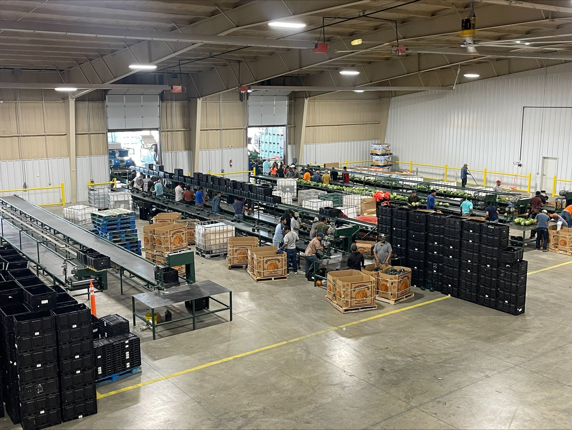 Warehouse interior with workers near conveyor belts and stacked crates.