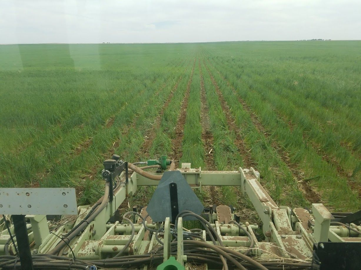 Planting