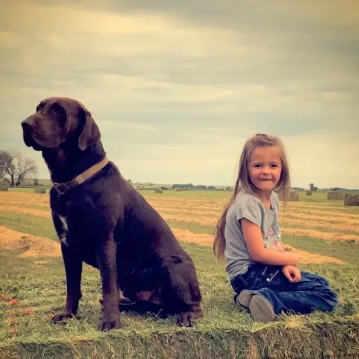 young girl with dog in a farm young girl with dog in a farm