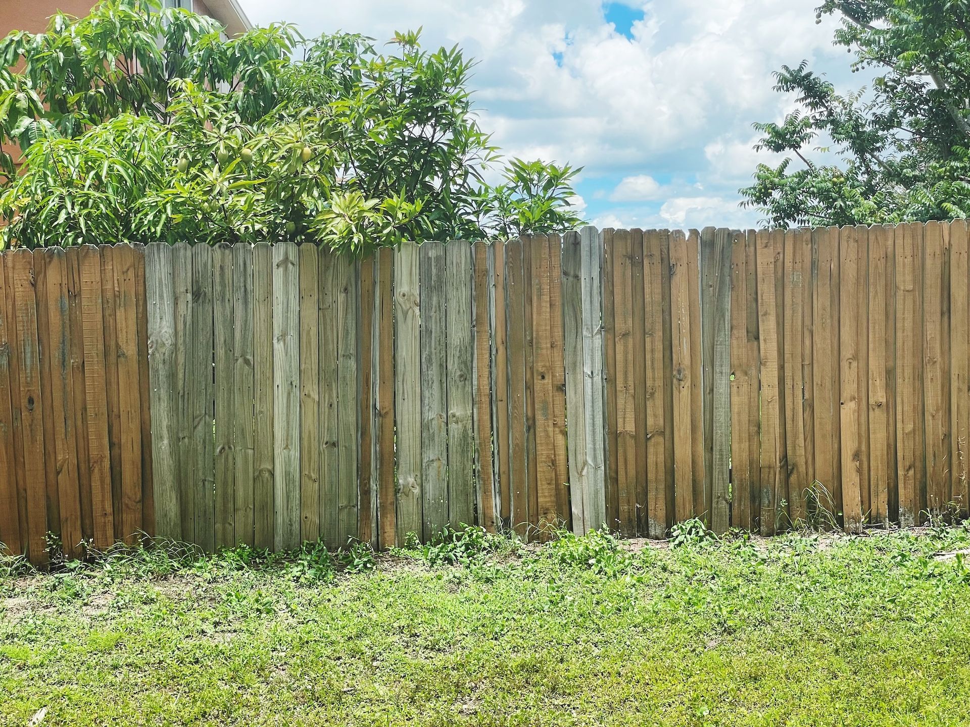 Weathered wooden fence behind a grassy yard with trees and blue sky