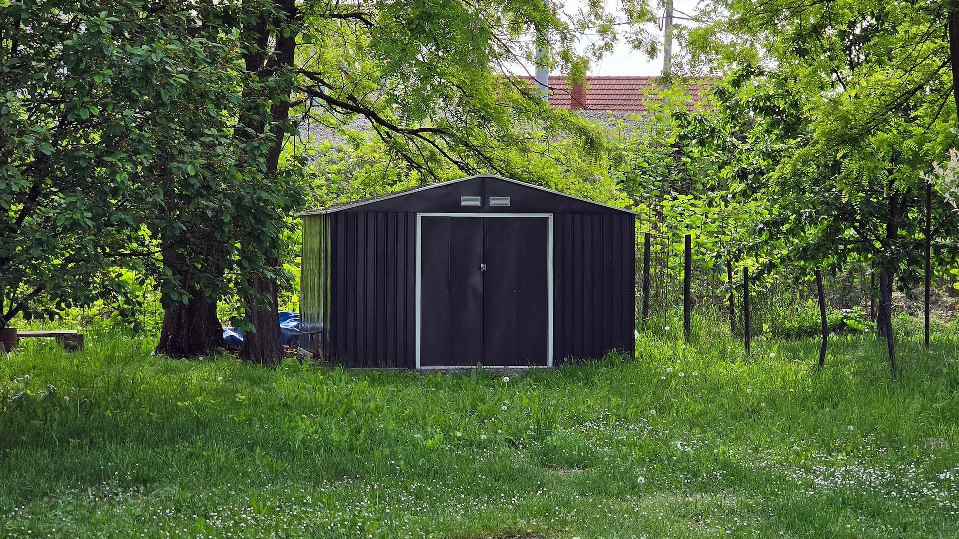 Black shed in a grassy orchard beneath leafy green trees