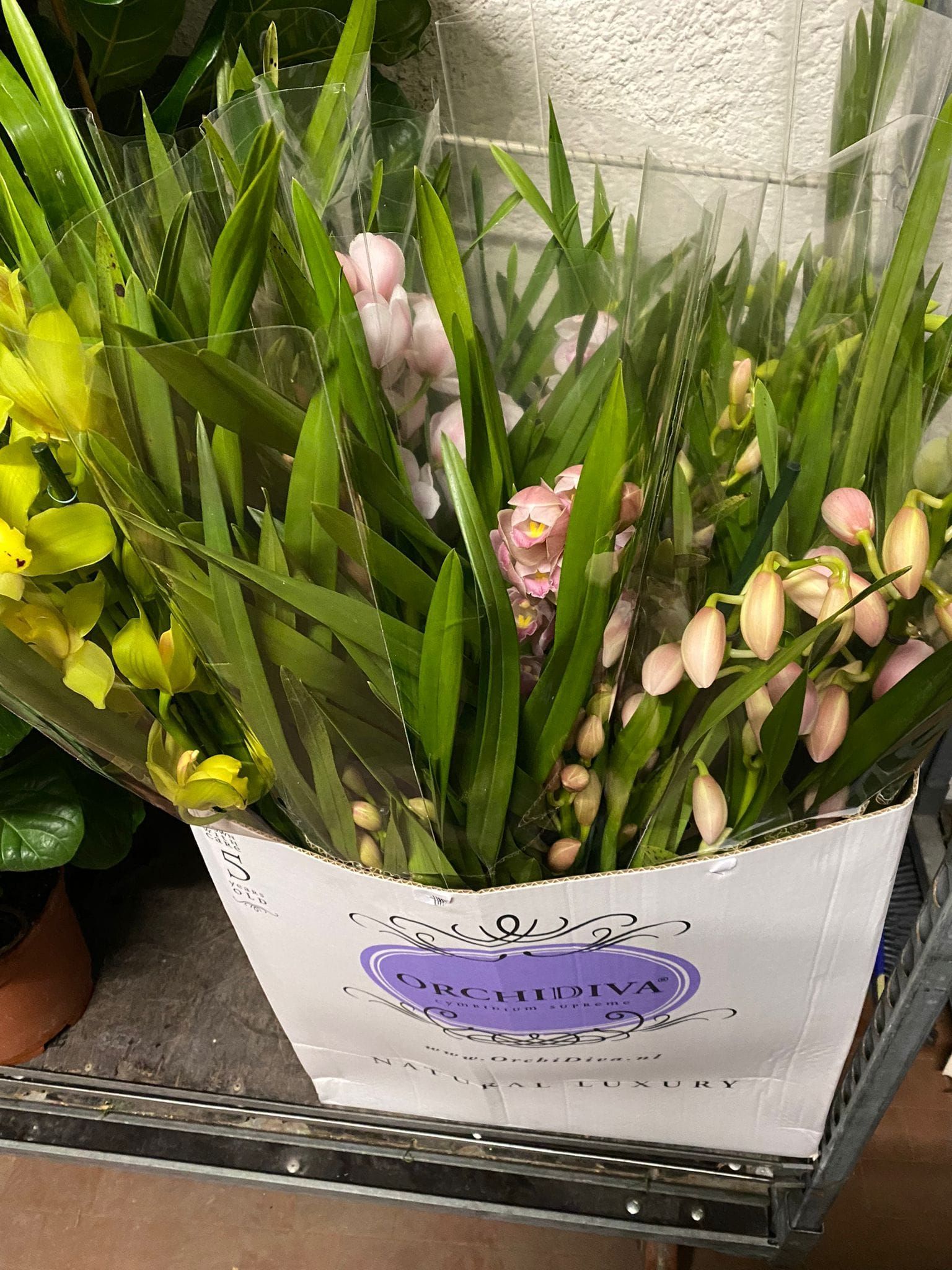 Bouquet di orchidee di vari colori racchiuso in un involucro floreale bianco.