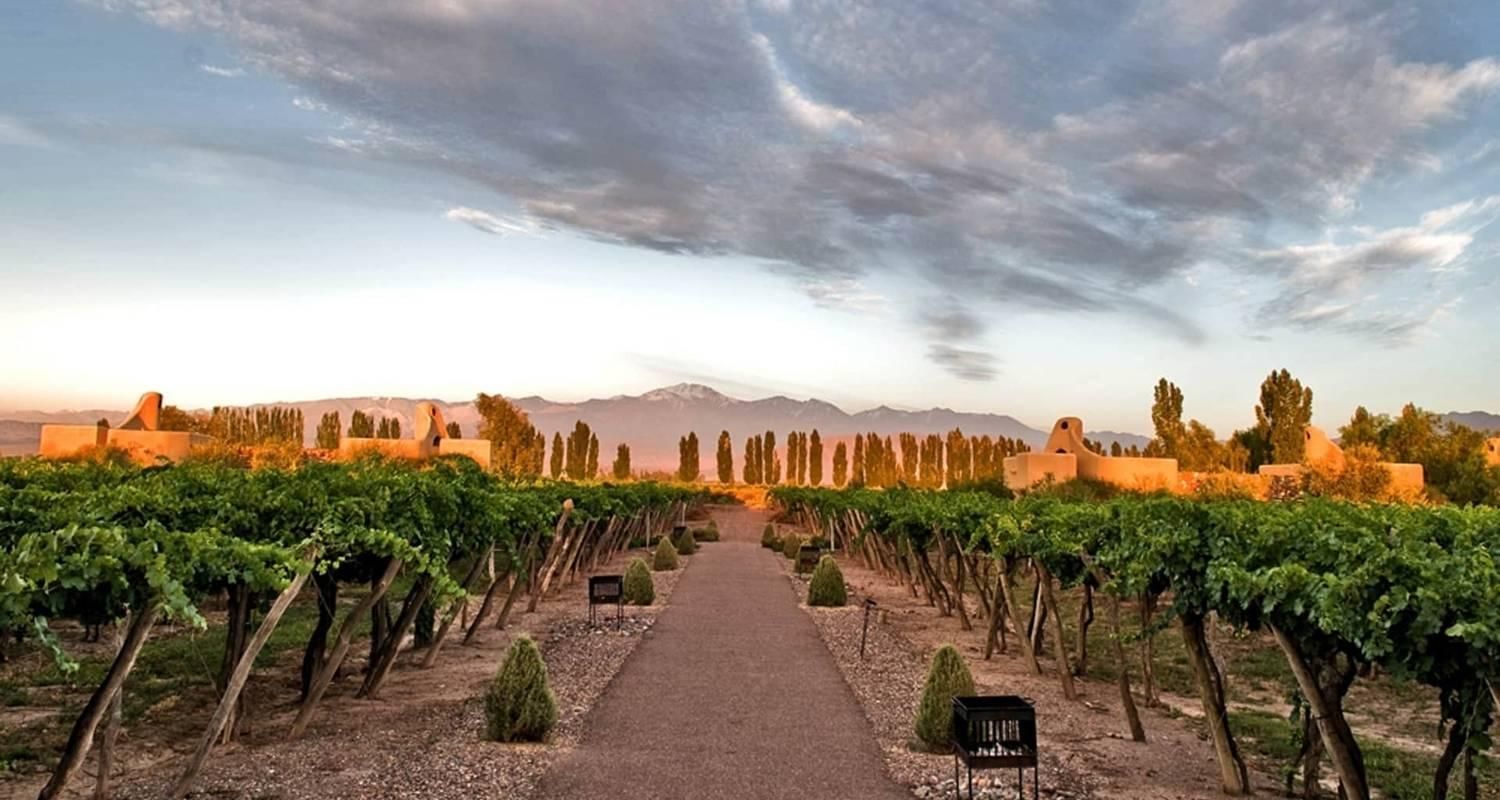 Luxury vineyard overlooking the Andes Mountains in Mendoza, Argentina
