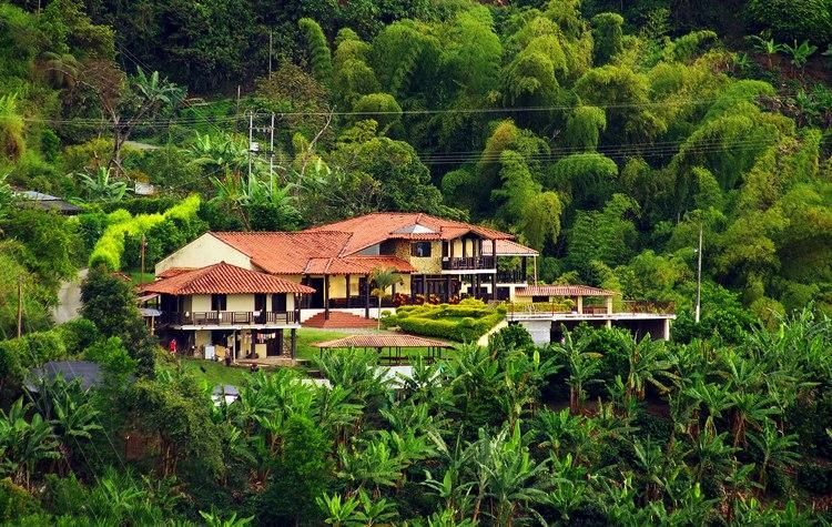 Tropical Colombian coffee region hillside hacienda with red-tiled roofs surrounded by lush green forest