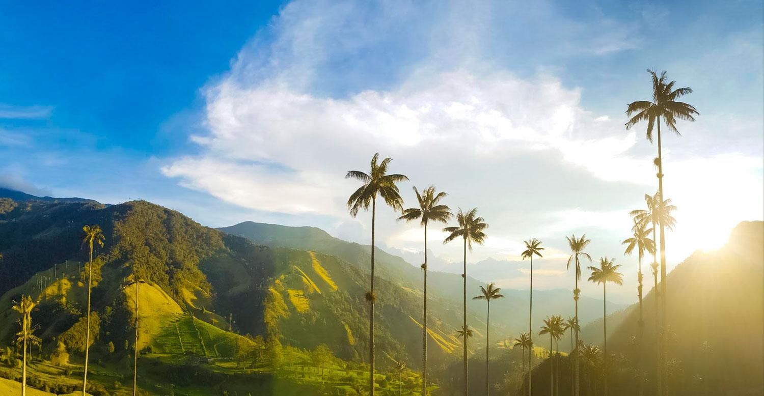 Sunrise over lush green mountains with tall palm trees and a bright golden sky