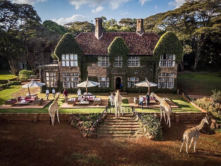 A large manor with ivy, manicured lawn, and giraffes in a garden setting.