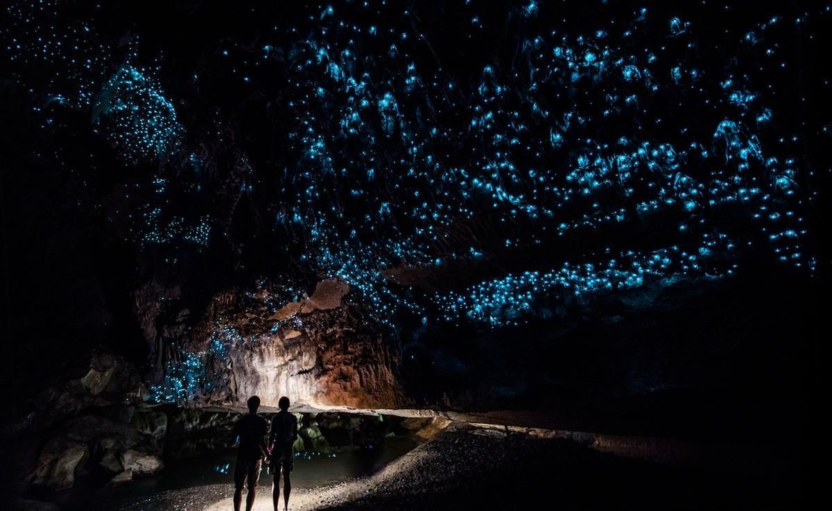 Waitomo Glowworm Caves, New Zealand Silhouettes on a path under a glowing blue starry canopy at night