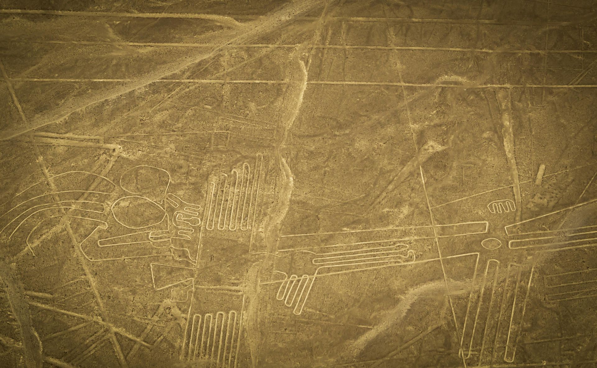 Aerial view of desert geoglyphs and straight lines etched into sandy ground