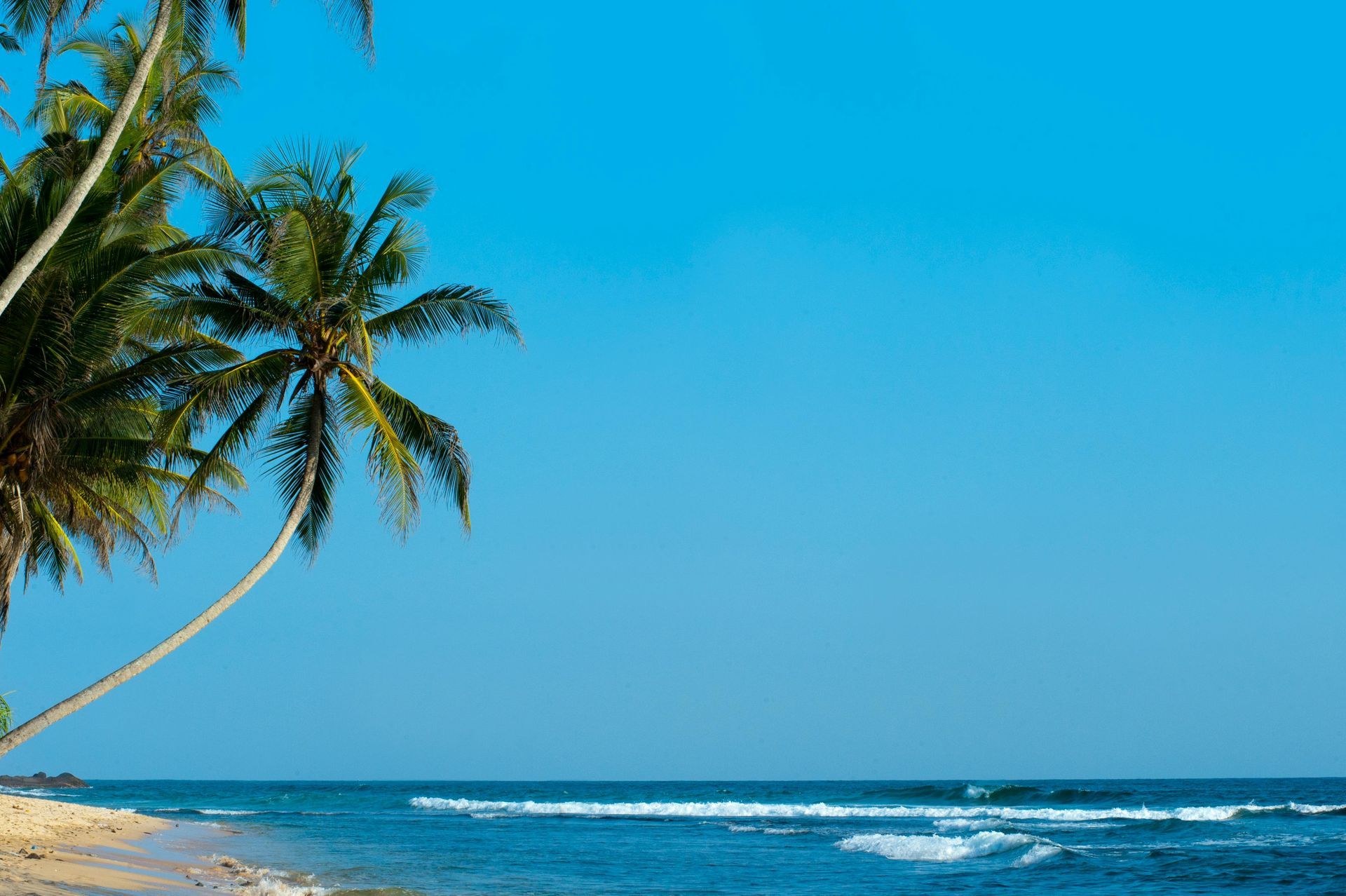 Palm trees frame a sandy beach and ocean under a bright blue sky.