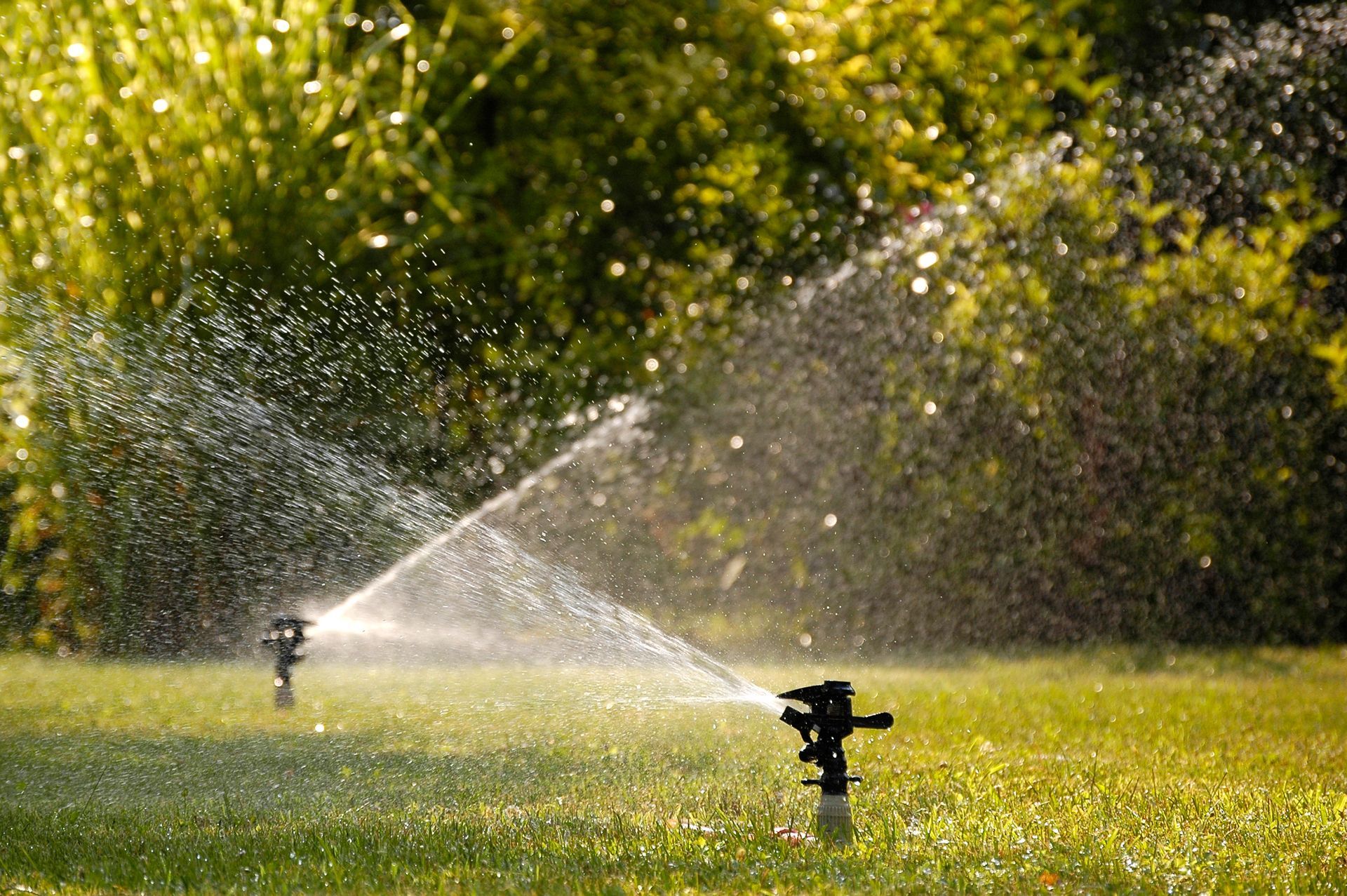sistema di irrigazione del prato
