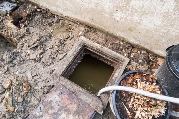 Open square drainage hole with murky water, surrounded by dirt, leaves, and a hose near a wall.